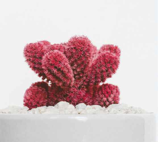 安全无毒可靠的ip攻击器网页版ddos