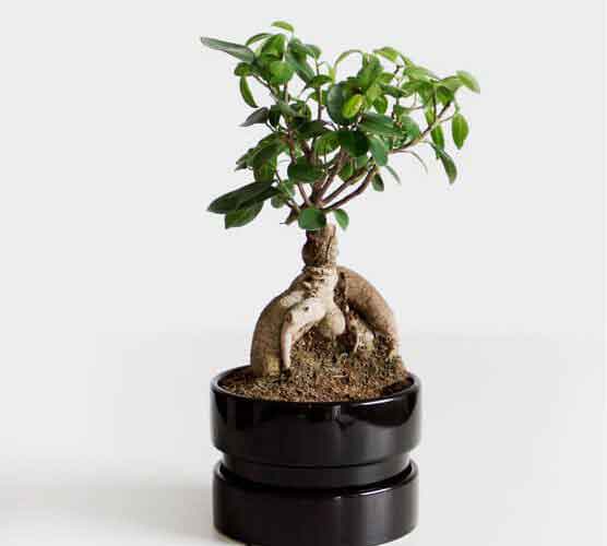 免费ddos在线攻击