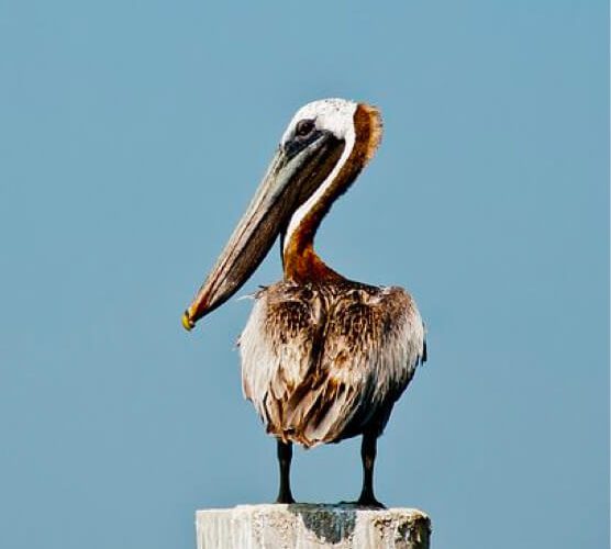 ip攻击器网页版ddos